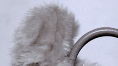 <b>为已如火如荼的AI行业再添上一团熊火</b>